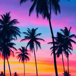 Meet your Posher, Mia